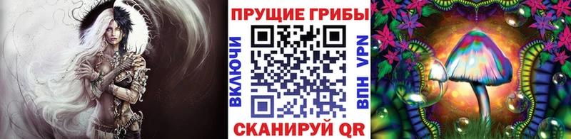 Галлюциногенные грибы Magic Shrooms  omg ССЫЛКА  Сельцо  купить закладку 